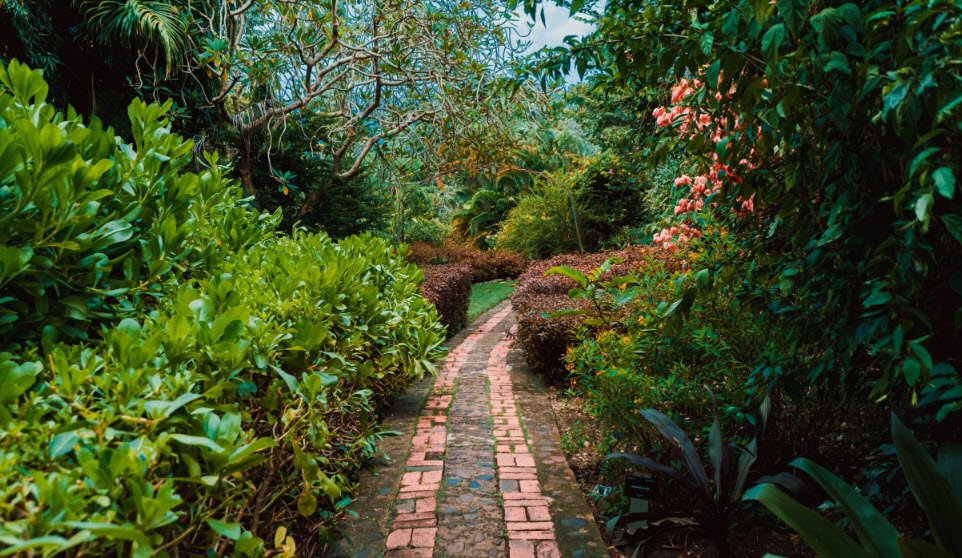 Andromeda Botanical Gardens, Saint Joseph, Barbados